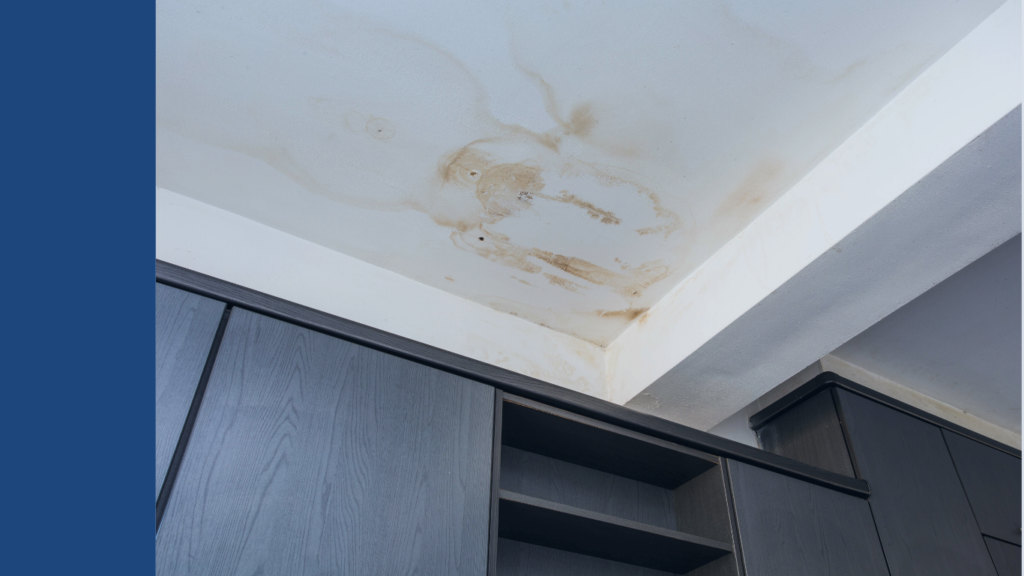 8 Signs of a Roof Leak and What to Do About It