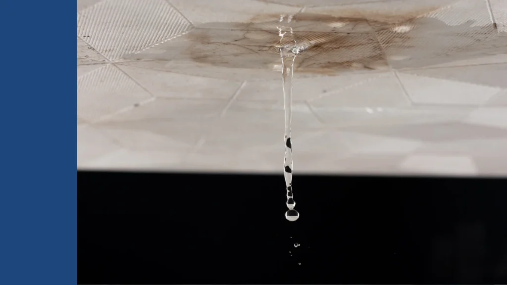 New Roof Is Leaking? Here’s What to Do Next